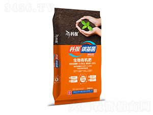 �����ЙC(j��)��-�ƈ�(b��o)̼����-���r(n��ng)�d̩