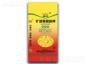 �VԴ�S�����-����