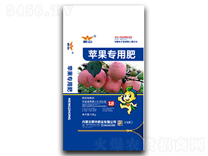 �O������΢�������-����