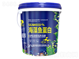 �����~����-�t������