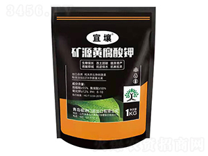 �VԴ�S�����-����-�t������