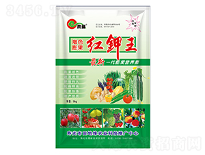 �t���-�t������