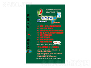 ��������-���ؠ�