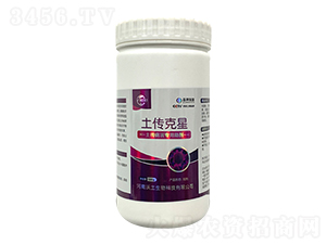 ����������������-�������ǼډѴT�S-��������