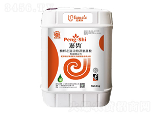 ø���������ﰱ�����}���V�τ�-���-��������