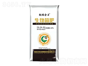 �������13-16-16-�����r(n��ng)�I(y��)