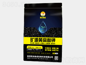 �VԴ�S�����-ꖹ�ڳ�