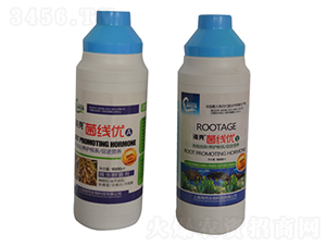 �ך��ؾ��xϵ��-��������