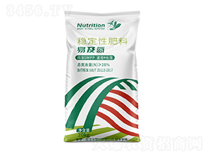 �׼�����-һ��