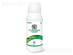 Һ�w��1000ml-�{�R�ʘI(y��)