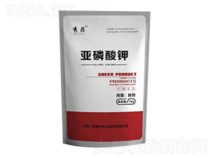 ��Ɓ������-�VԴ�¿�