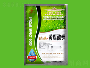 �������S�����-�ѿ�