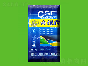 ���X���_ʩ��-�ѿ�