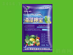 ����⛌�-�ѿ�