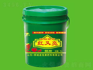 �������Ѽt����-�ѿ�