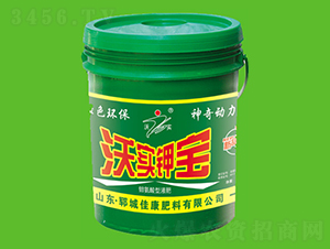 �֌�(sh��)⛌�-�ѿ�