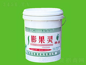 ����`-�ѿ�