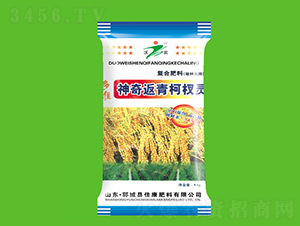 �����辷�-�ѿ�