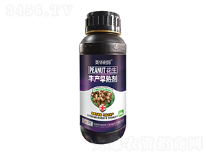 �����S�a(ch��n)���섩-��˴ֲ��