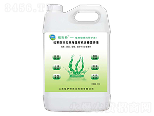 �����ЙC(j��)���ǠI�B(y��ng)Һ-������-������