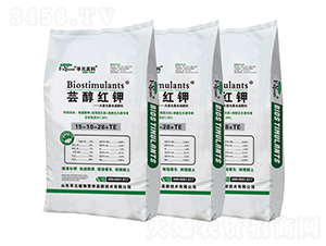 �|���t�-��Ԫ