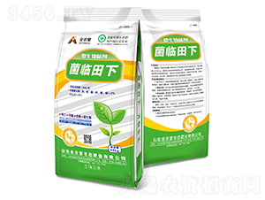 ΢�������-���R����-������