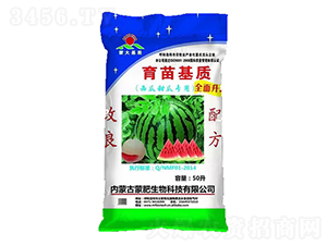 �������������|(zh��)-�ɷ�