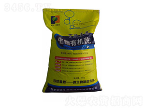 �����ЙC����-�ٚW�w��-�G��ɭ�r(n��ng)�I(y��)