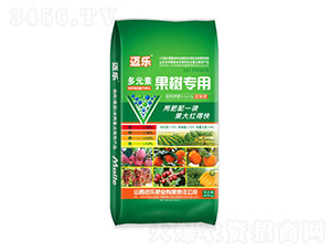 ��Ԫ�ع���(sh��)��(zhu��n)�÷�-�~��(l��)-�G��ɭ�r(n��ng)�I(y��)