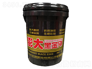 ���ڽ���-��������