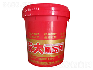 ���ڽ������tͰ��-��������