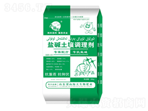 �}�A�������{(di��o)�턩-��������