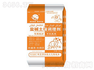 �}�A�����{(di��o)�턩-��������