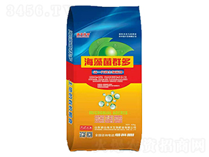 �����Ⱥ��-��������