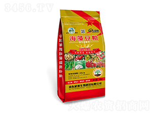 5�|�����嶹��΢�������-��������