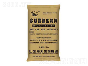 ���ľ��������-��������