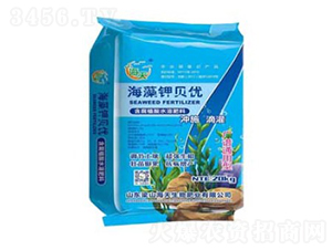 �����ؐ��(y��u)-��������