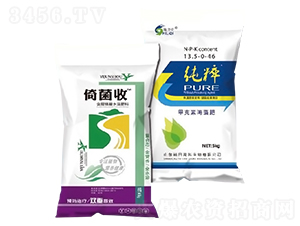 �о���+����-ԣ��߿�