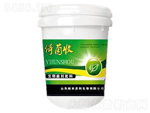 ΢�������-�о���-ԣ��߿�