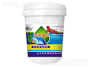 ���嵰��-ԣ��߿�