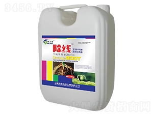 ����_ʩ��-����-ԣ��߿�