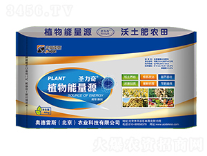 ֲ������Դ-ʥ����-�W����˹