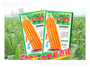 ���׷ʌ�-�_Ҳ����