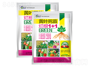 �S�~���砀��1+1-ԣ��߿�����