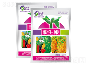 ������-ԣ��߿�����