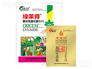 �S�~���砀��1+1-�G�R��-ԣ��߿�����