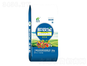 ���Ռ�-������