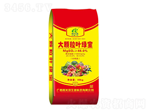 ���w���~�G��-������