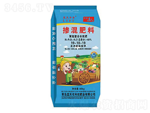 ���������LЧ�������19-10-19-�{���S̩