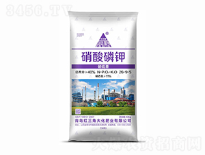 �������26-9-5-�t���Ǵ�